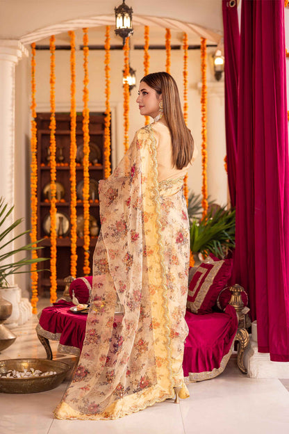 Saree Saba (Stitched)